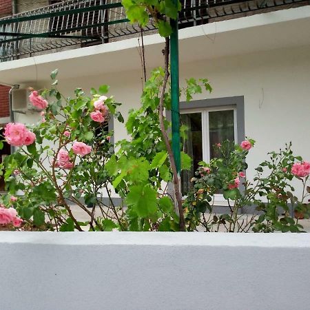 Apartmani Alma Skradin Eksteriør billede